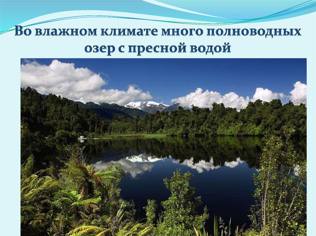 Во влажном климате много полноводных озер с пресной водой