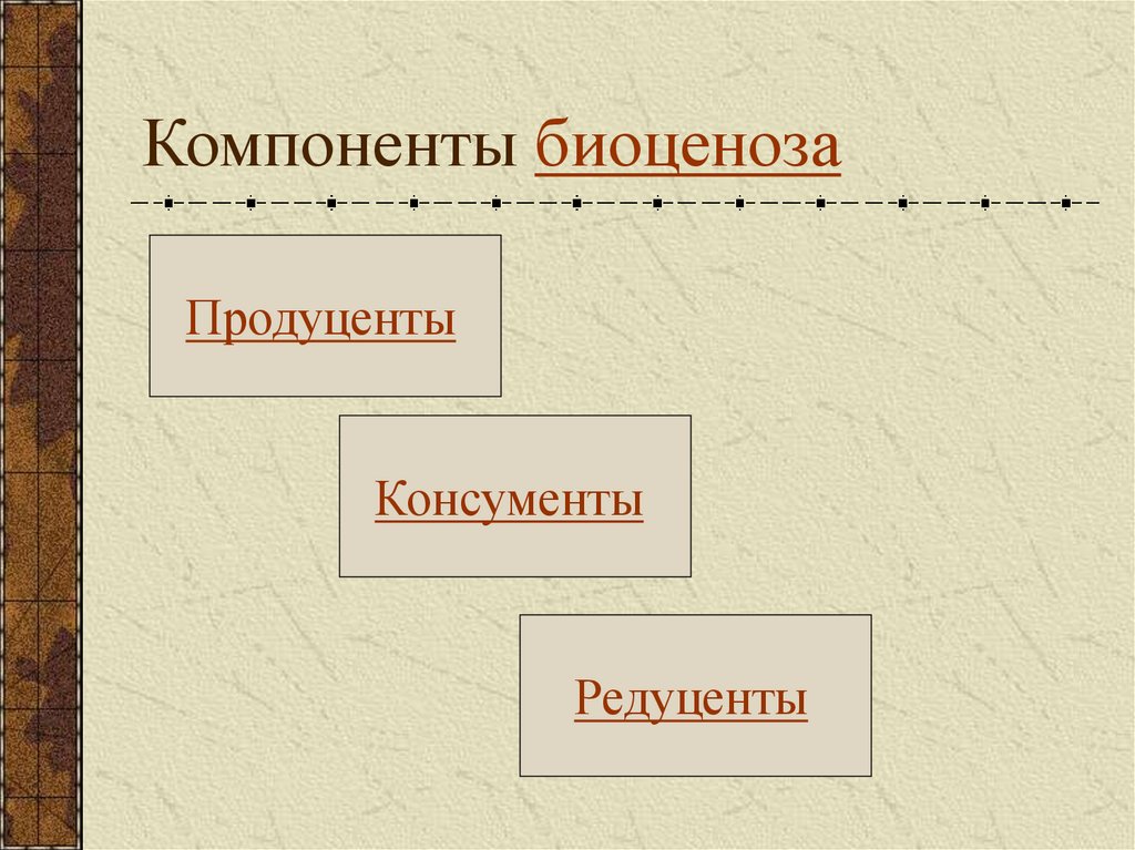Компоненты биоценоза