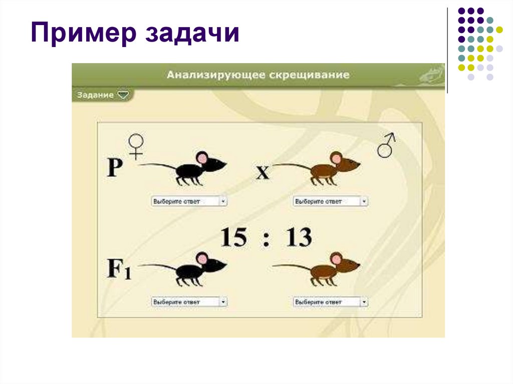 Анализирующее скрещивание неполное доминирование презентация 10 класс