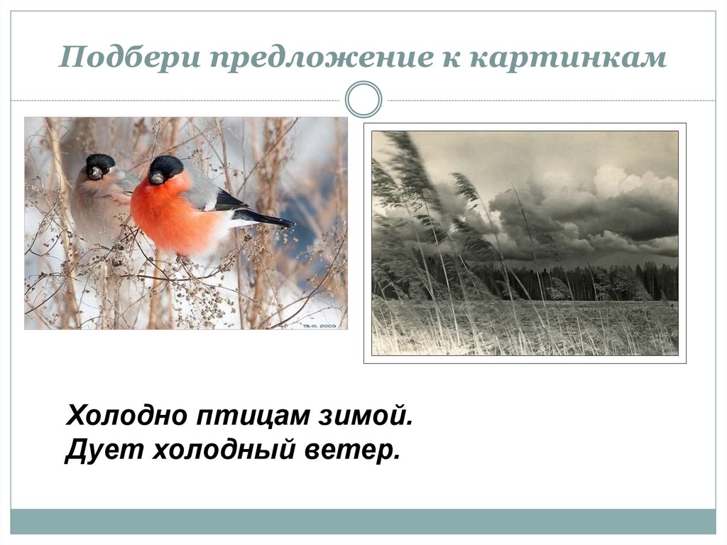 Подбери предложение к картинкам