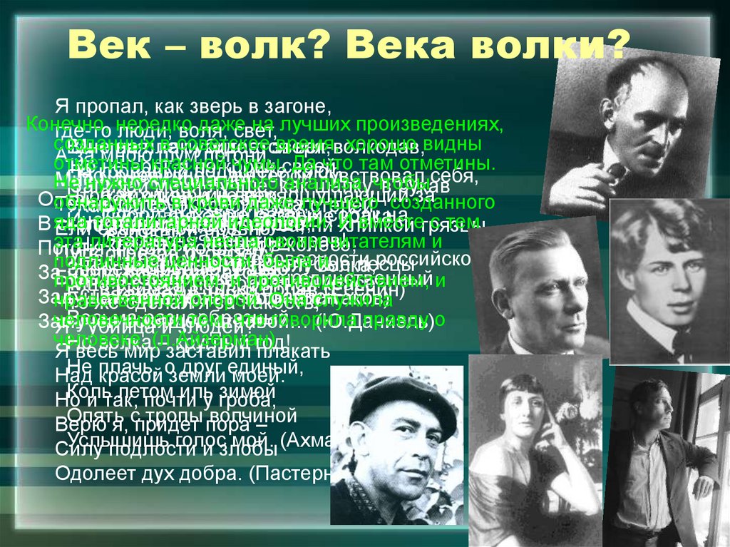 Век – волк? Века волки?