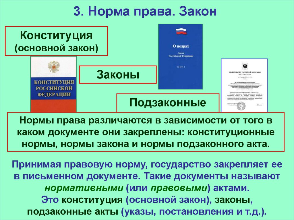 4 система законодательства