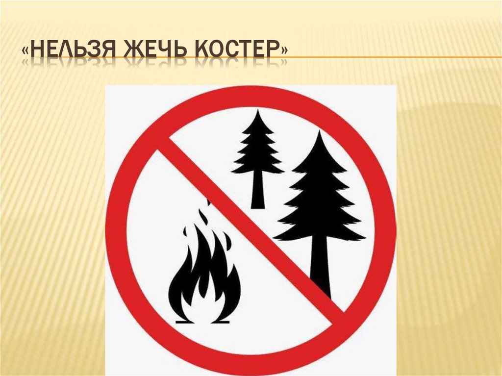 Берегите лес. Нельзя ломать деревья - online presentation