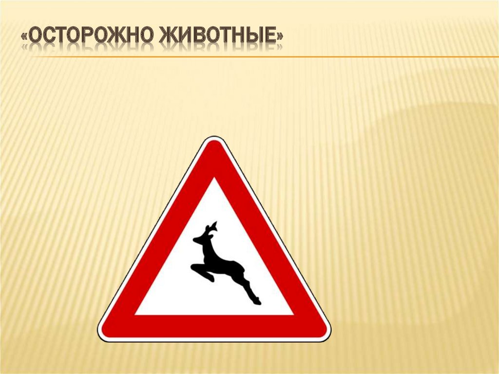«Осторожно животные»