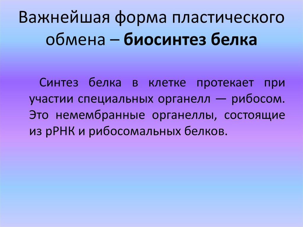 Пластический обмен это