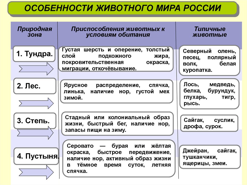 Типы растительных сообществ схема