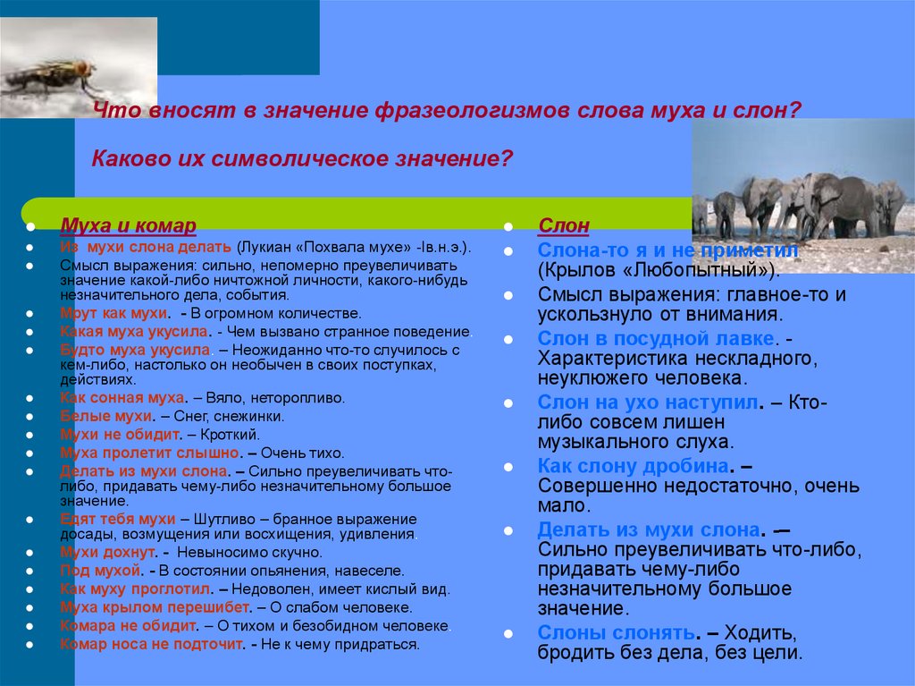Что означает слово слон. Акростих к слову Муха. Что означает выражение комар носа не подточит. Комар носа не подточит смысл пословицы 3 класс. Как из слова Муха получить слово слон цепочка.
