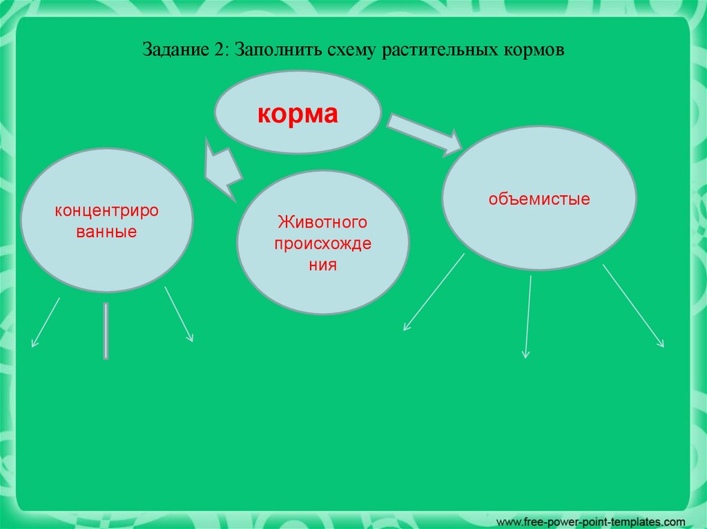 Классификация кормов. Урок 2 - презентация онлайн