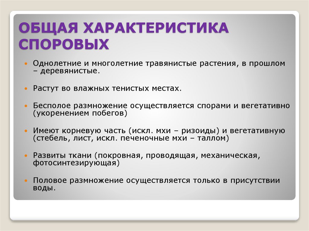 ОБЩАЯ ХАРАКТЕРИСТИКА СПОРОВЫХ