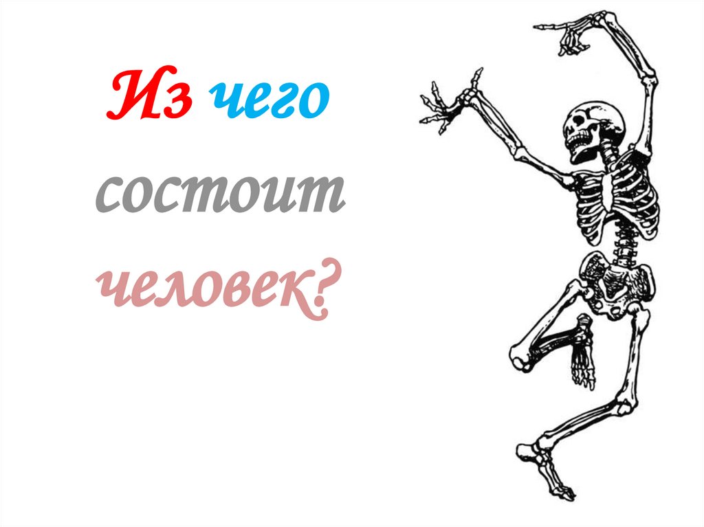 Из чего состоит человек? - online presentation