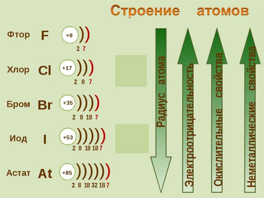 Электронные слои атома фтора. Электронное строение астата. Электронная схема галогена. Строение галогенов. Строение атома фтора.