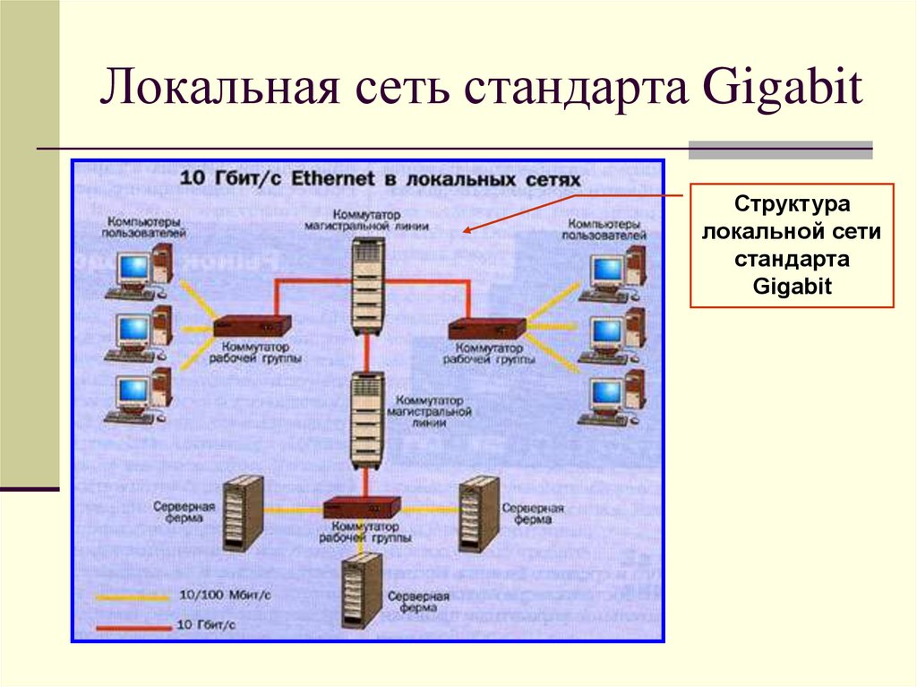 Сетевые стандарты ethernet