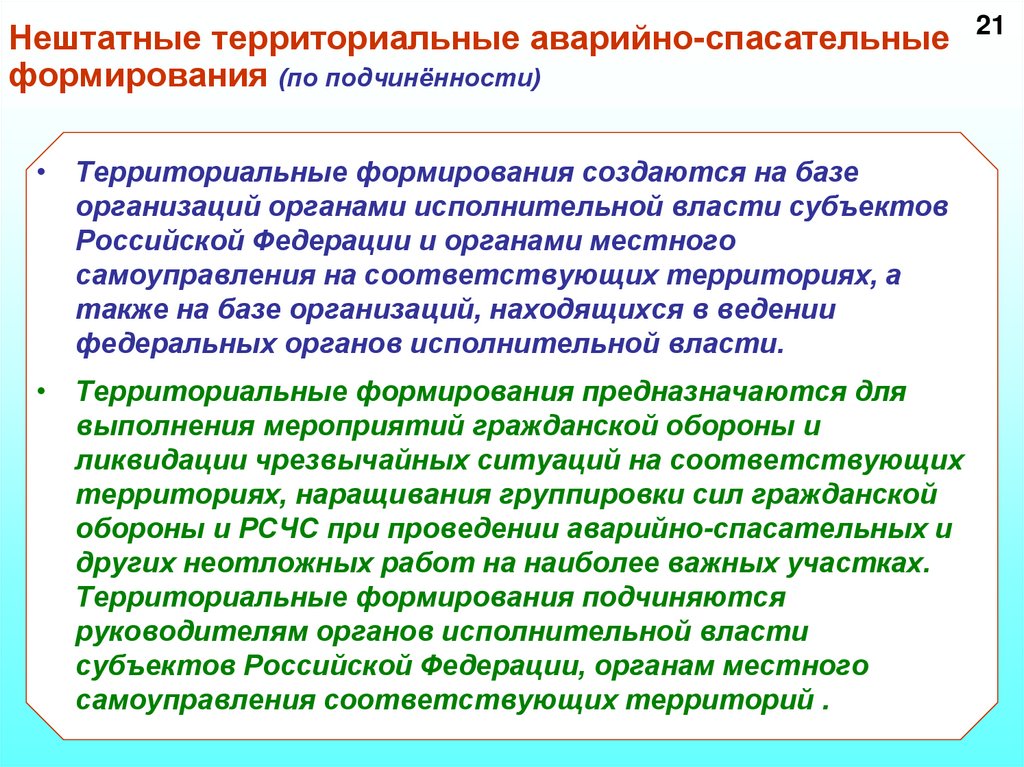 Нештатные аварийно спасательные формирования