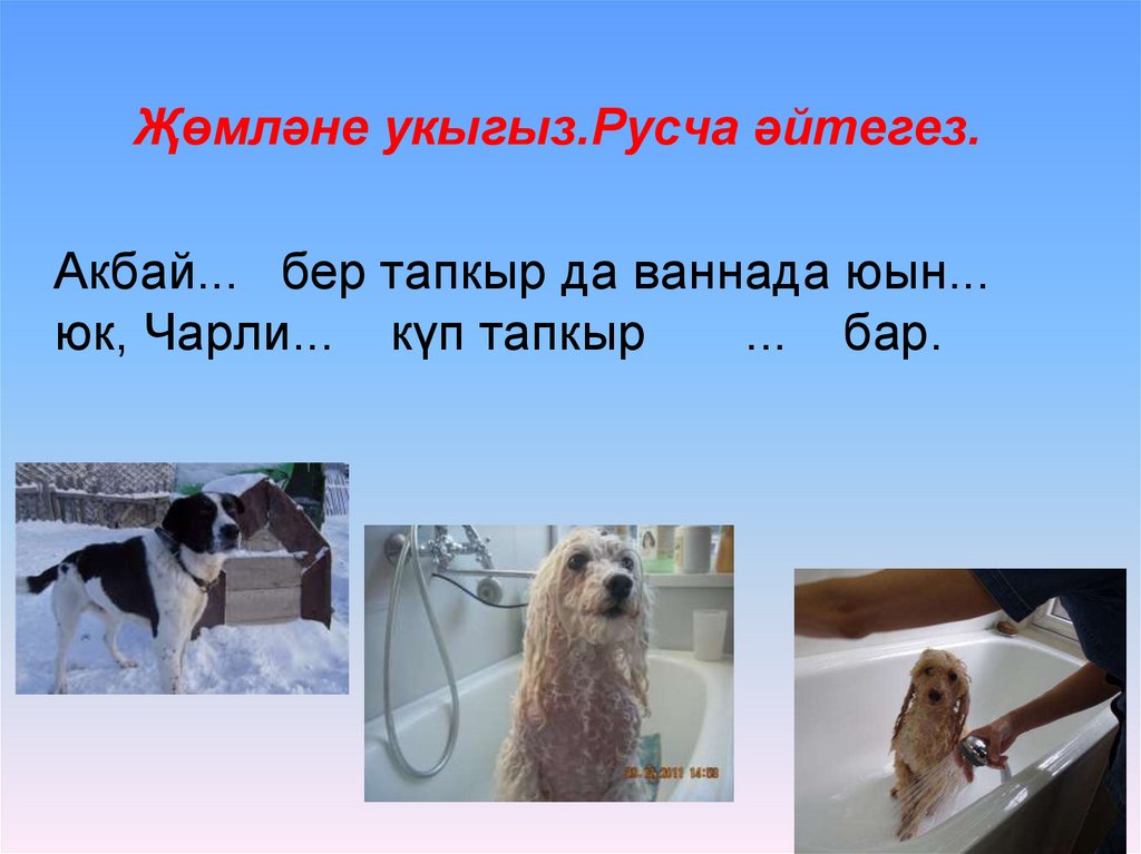 Акбай... бер тапкыр да ваннада юын... юк, Чарли... күп тапкыр ... бар.  