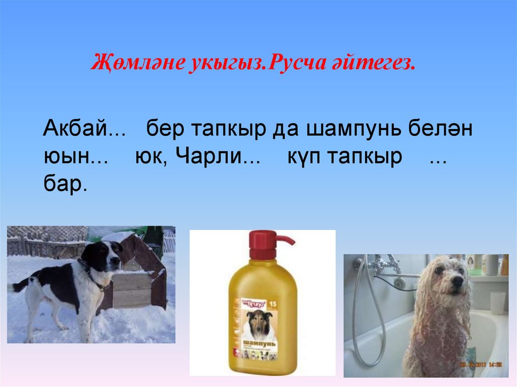 Акбай... бер тапкыр да шампунь белән юын... юк, Чарли... күп тапкыр ... бар.  