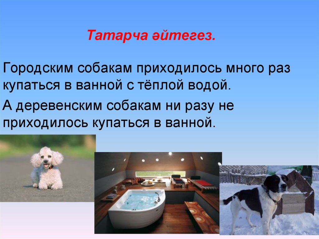 Татарча әйтегез.