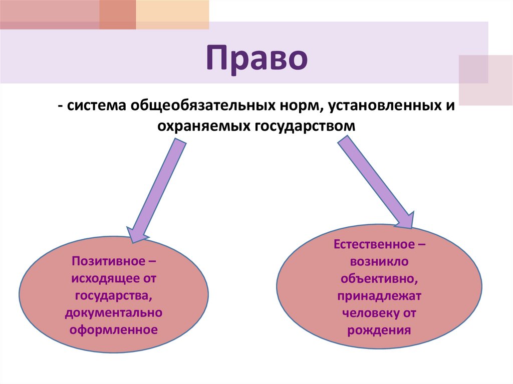 Презентация на тему право в системе социальных норм