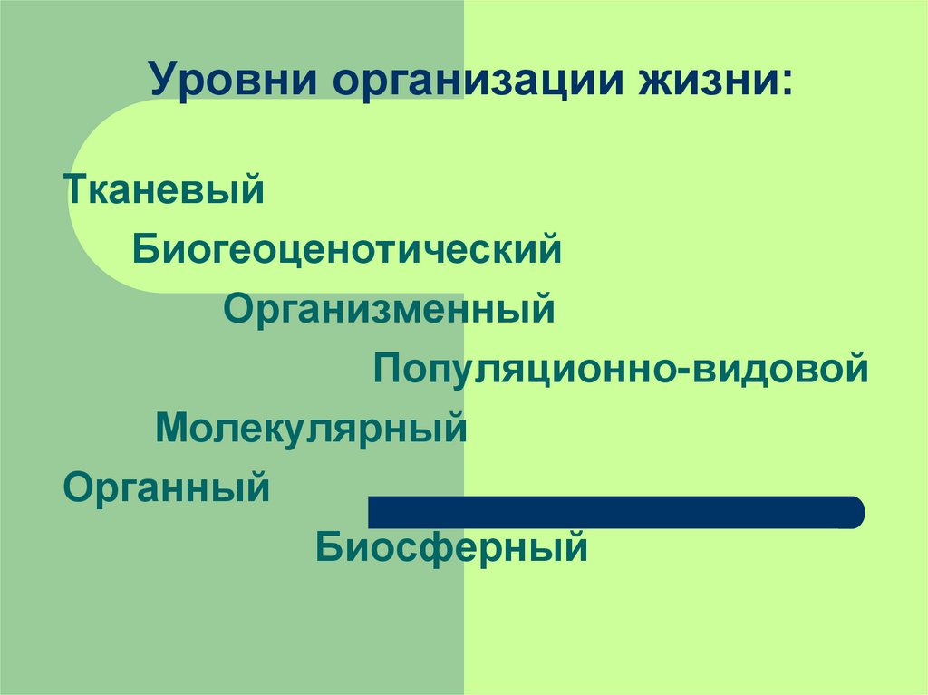 Уровни организации жизни презентация