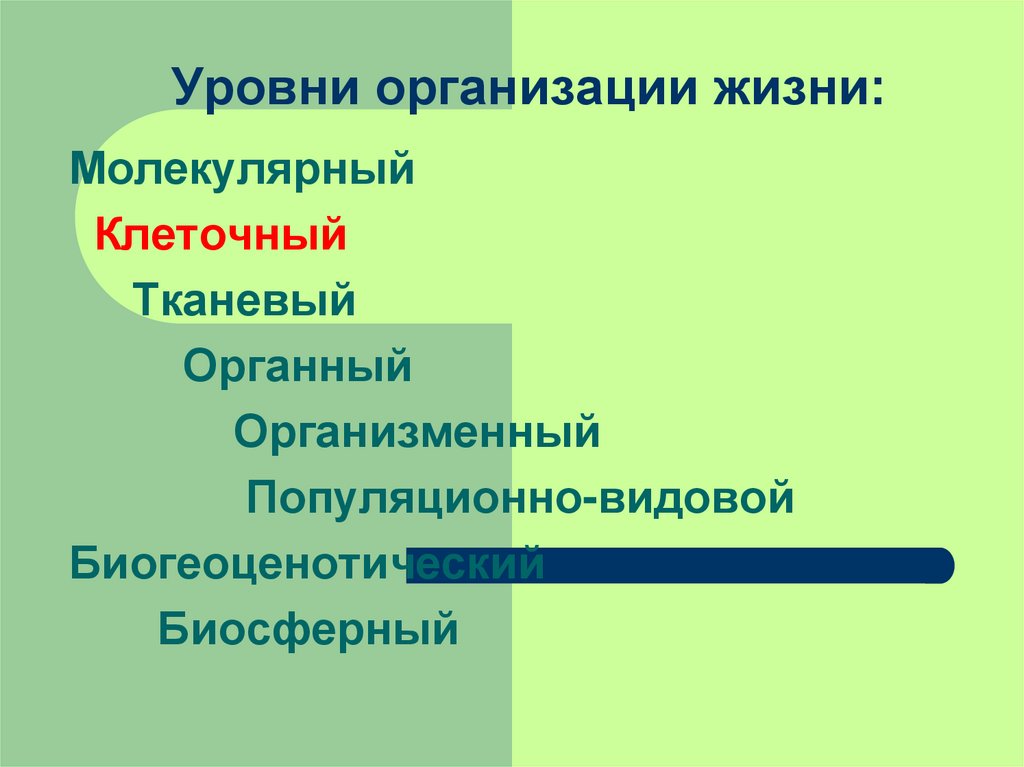 Организация жизни