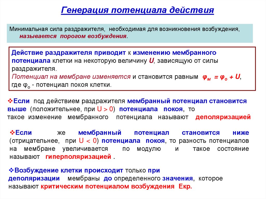 Генерация периода. Генерация потенциала действия. Мембранные потенциалы и их ионная природа.. Где происходит генерация потенциала действия. Свойства мембранного потенциала.