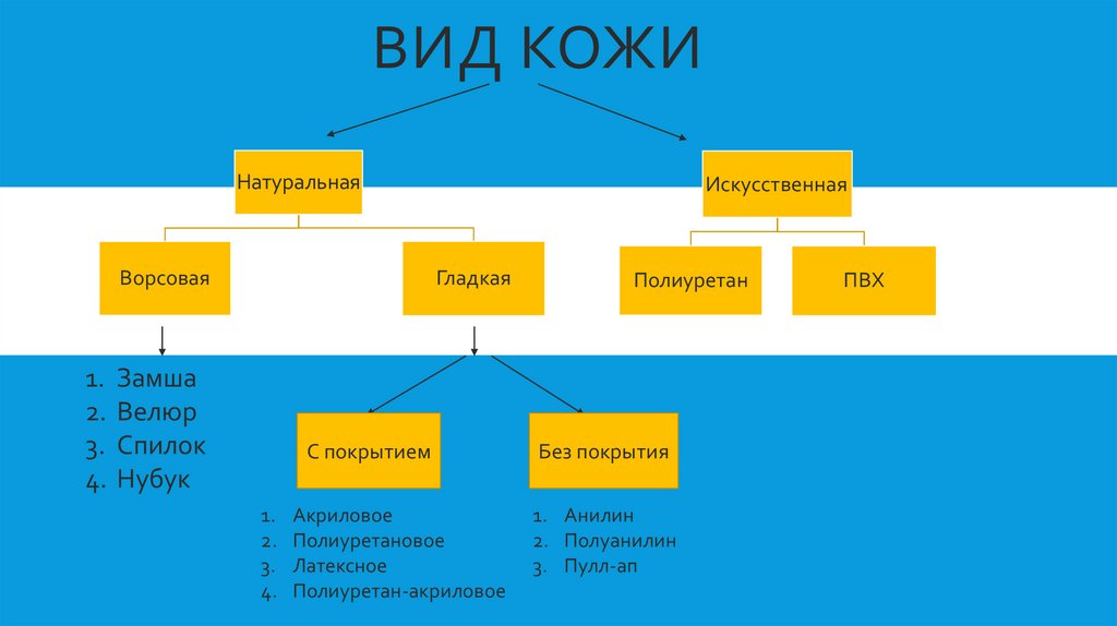 Виды кожи - презентация онлайн