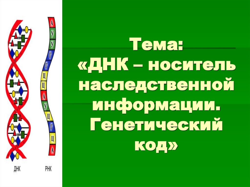 Генетический код презентация 10 класс биология