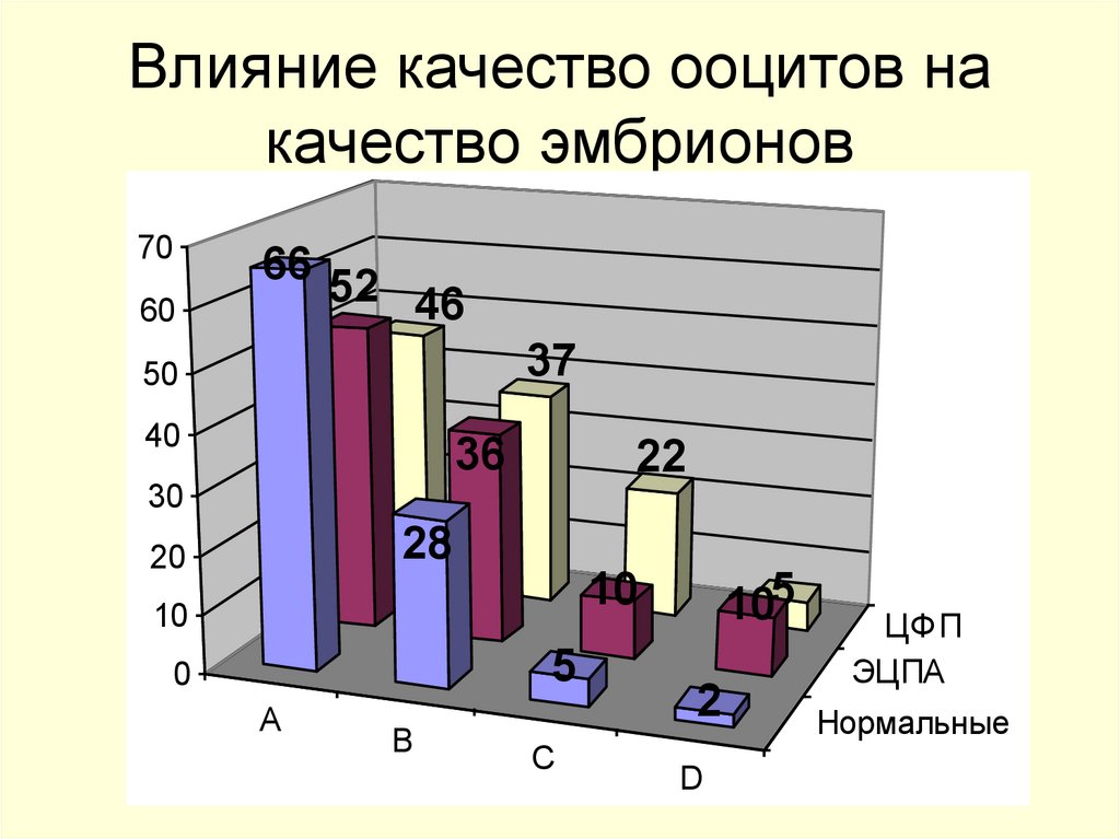 Влияние качество ооцитов на качество эмбрионов