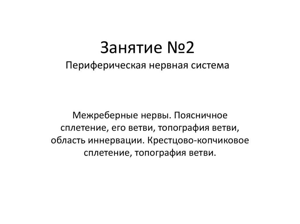 Занятие №2 Периферическая нервная система