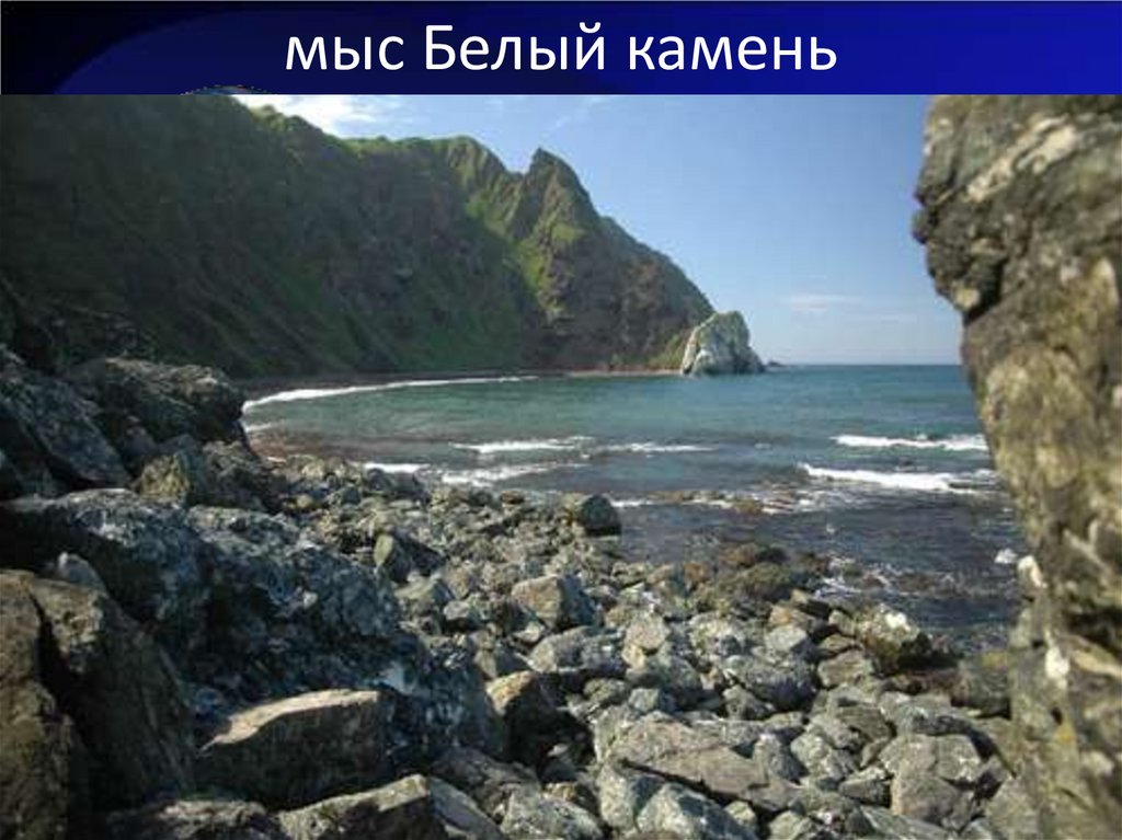 Топонимы, характеризующие особенности фауны и флоры - презентация онлайн