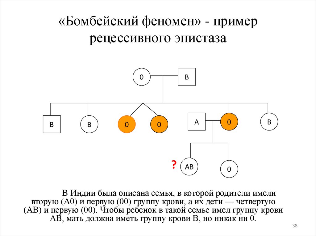 Феномен примеры. Эпистаз Бомбейский феномен. Бомбейский феномен скрещивание. Примен рецессивного эпитоза. Рецессивный эпистаз Бомбейский синдром.