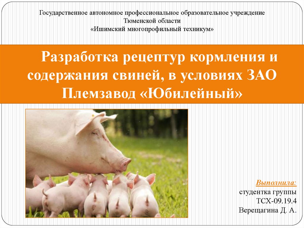 Краткий пересказ про свиноводство. Температура содержания свиней. 3 Содержание свиней в промышленной технологии презентация. Приказ свиньи