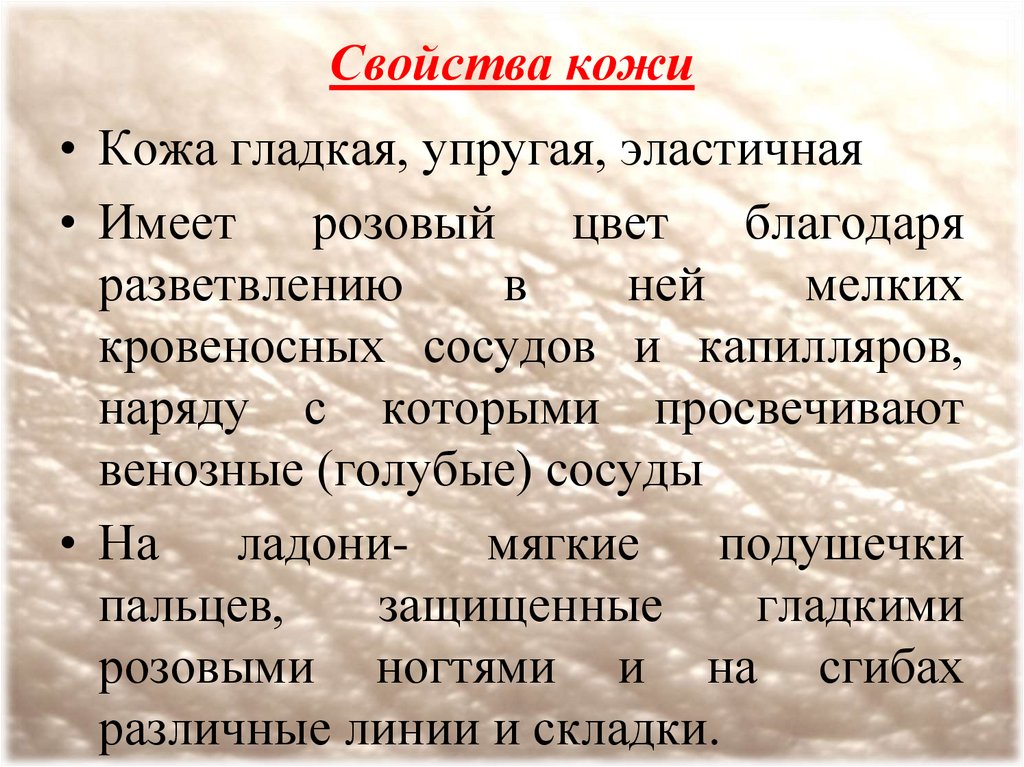 Свойства кожи и типы