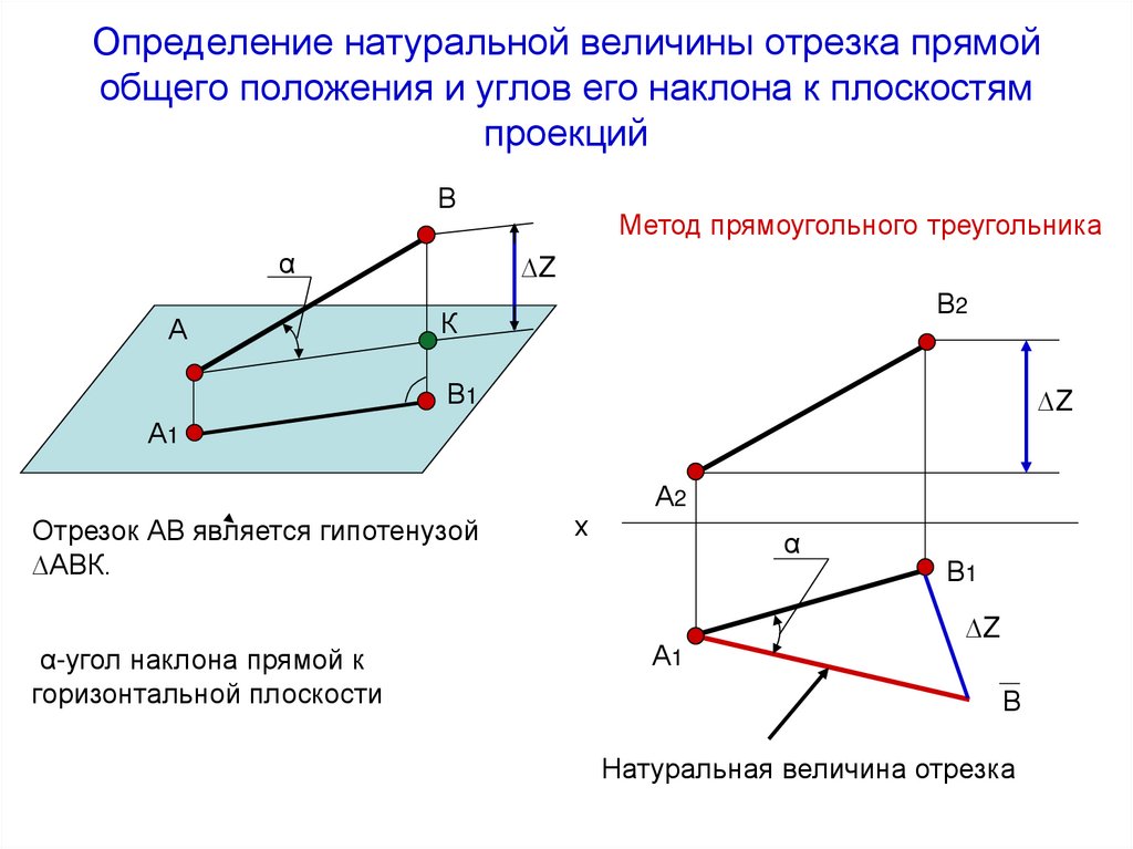 Определение натуральной величины отрезка прямой общего положения и углов его наклона к плоскостям проекций