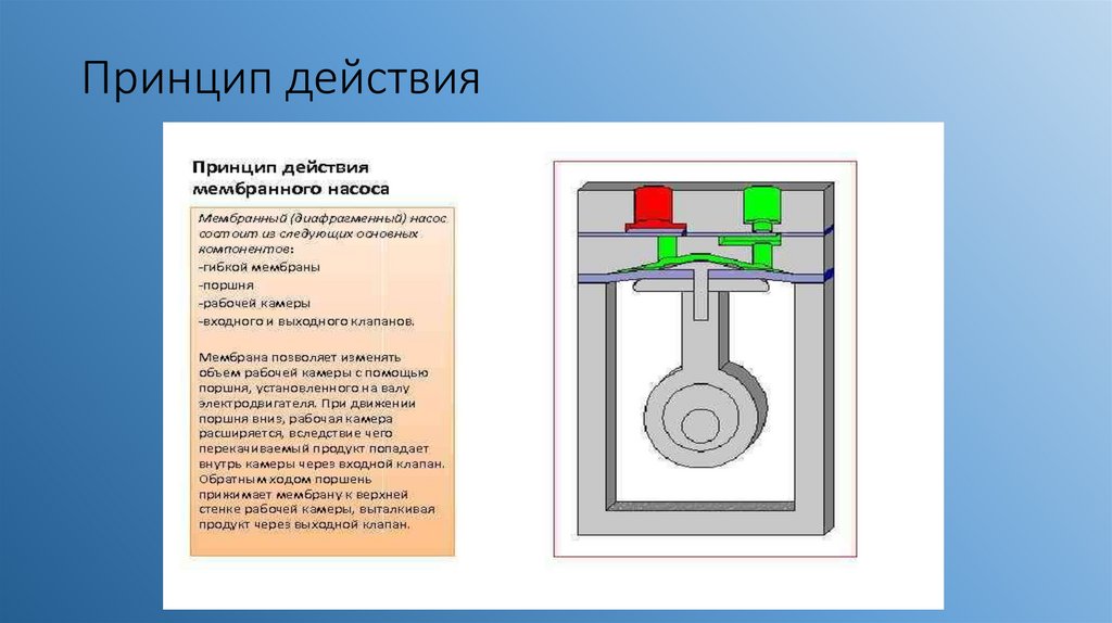 Мембранные насосы - презентация онлайн