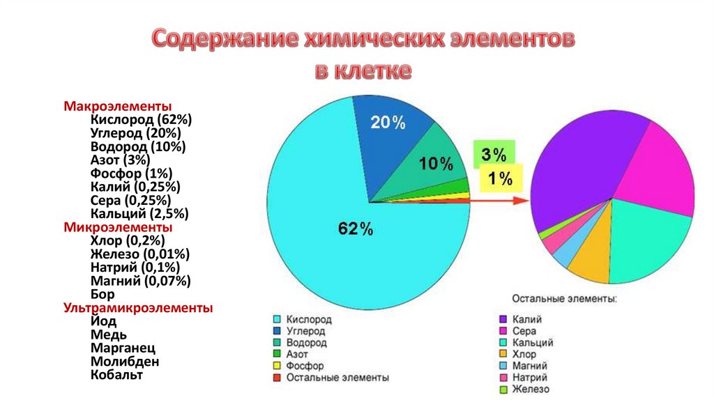 Тест неорганические вещества клетки 10