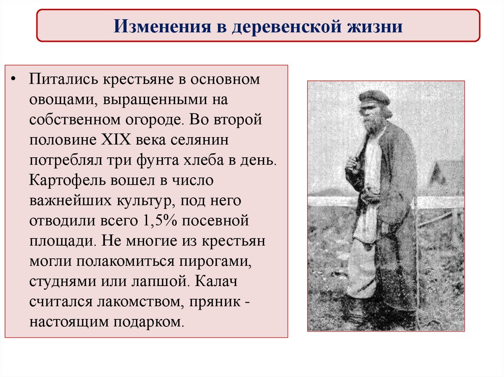 Повседневная жизнь разных слоев населения в xix в презентация 9 класс торкунов