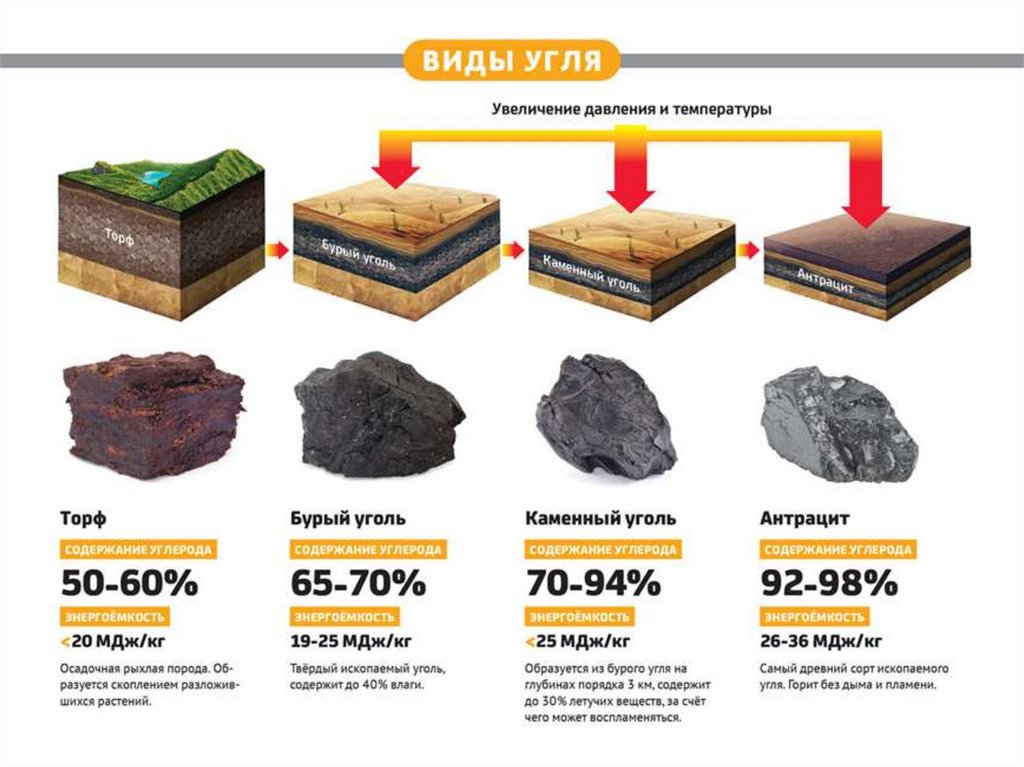 К чему относится каменный уголь. Классификация древесного угля. Стадии формирования каменного угля. Тип породы каменный уголь. Виды угля в России.