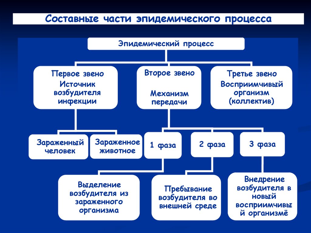 Презентация процесс