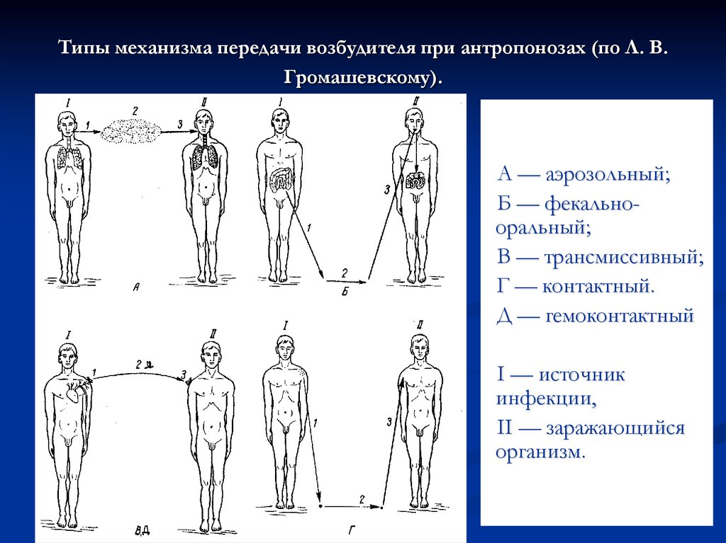 Механизмом передачи является. Типы механизма передачи возбудителя. Механизма передачи возбудителя при антропонозах. Антропонозы с аэрозольным типом передачи. Антропонозы с фекально-оральным механизмом передачи схема.