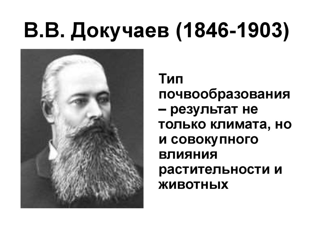 Докучаев биосфера. В.В. Докучаев (1846-1903). В. В. Докучаева (1846— 1903). Докучаев биология.