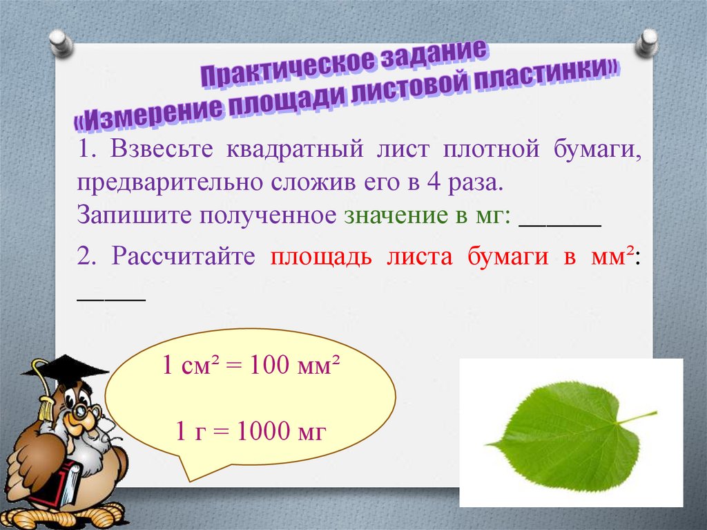 1 5 3 5 практическая работа