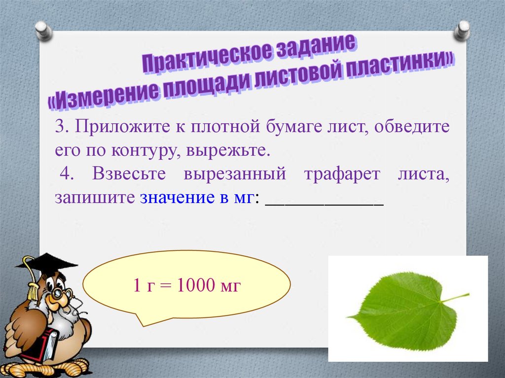 Практическое задание "Измерение площади листовой пластинки ...