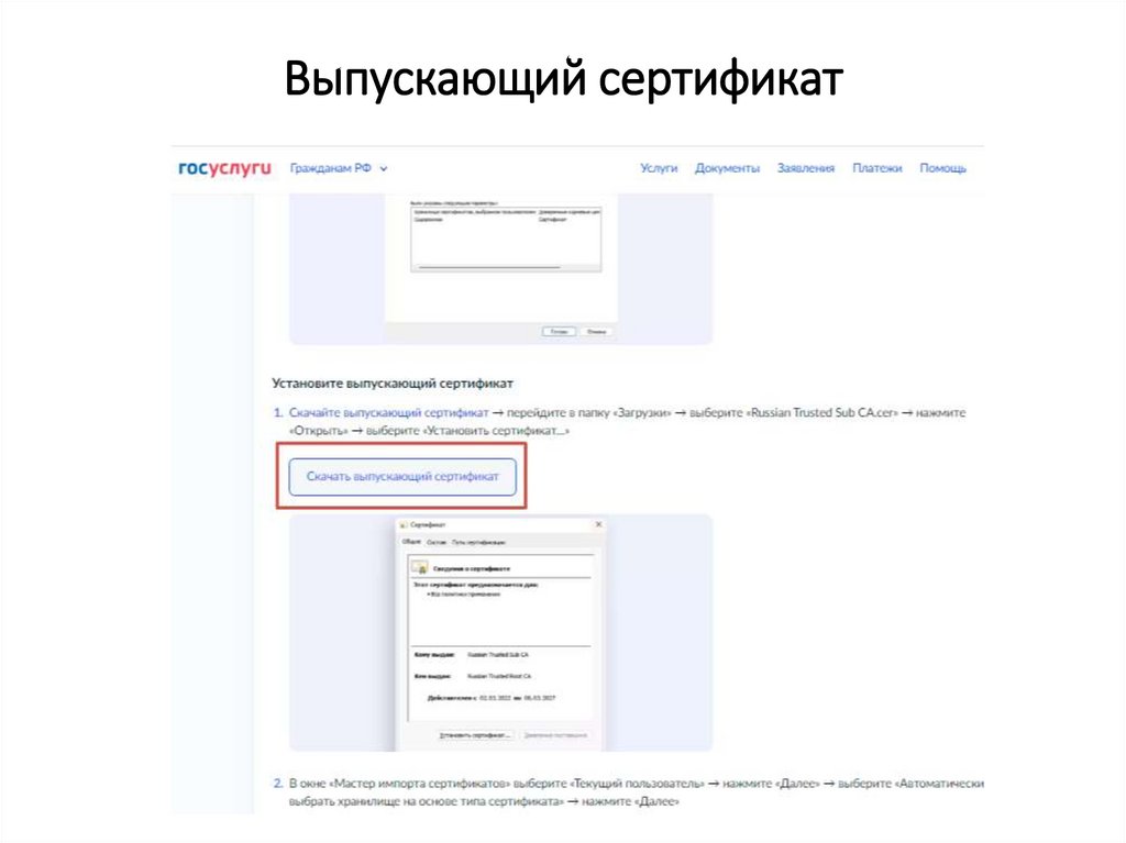 Выпускающий сертификат