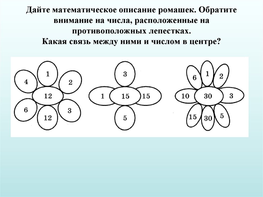 Дайте математическое описание ромашек. Обратите внимание на числа, расположенные на противоположных лепестках. Какая связь