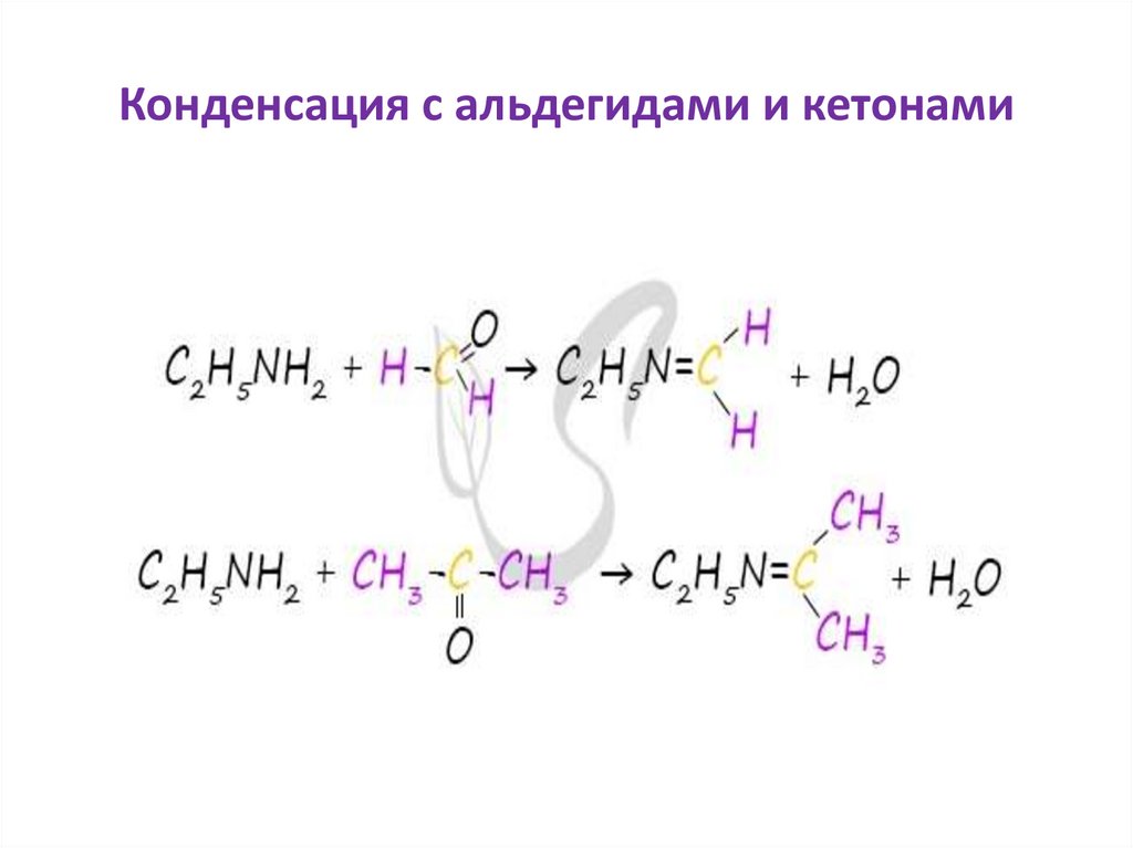 Свойства алифатических аминов - презентация онлайн