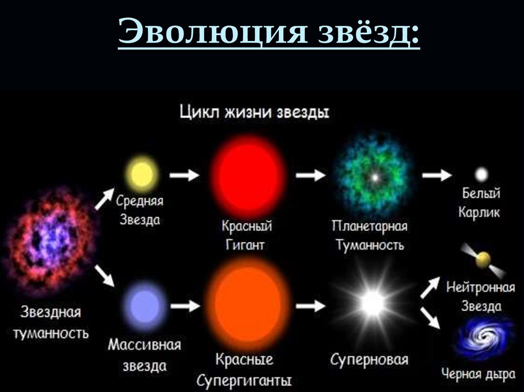 Эволюция звезд астрономия 11. Карликовые звезды. Звезды гиганты. Эволюция звезд. Эволюция звезд различной массы.