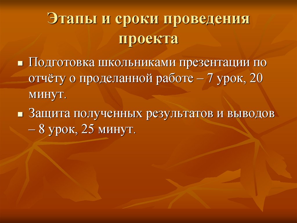 Этапы и сроки проведения проекта