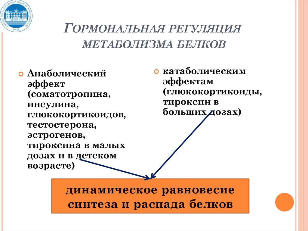 Регуляция обмена веществ витамины