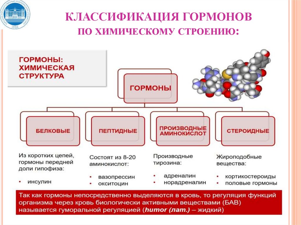 Гормоны по химической природе