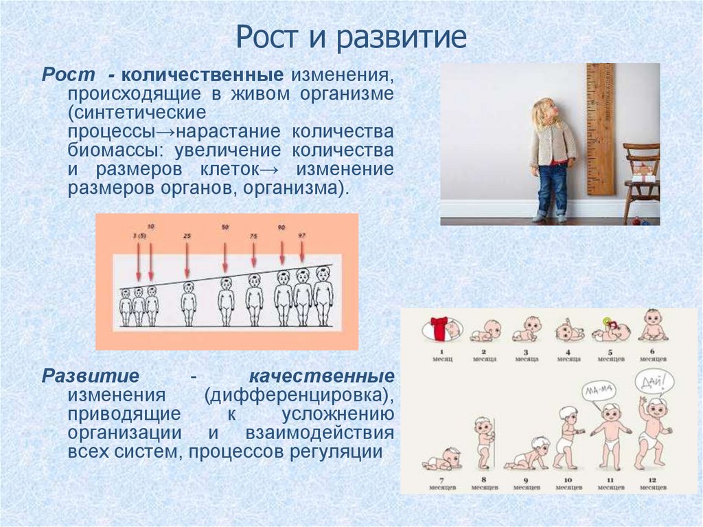 Закономерности роста и развития организма. Понятие о росте и развитии организма человека.